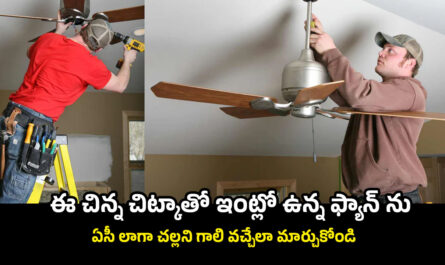 Ceiling Fan