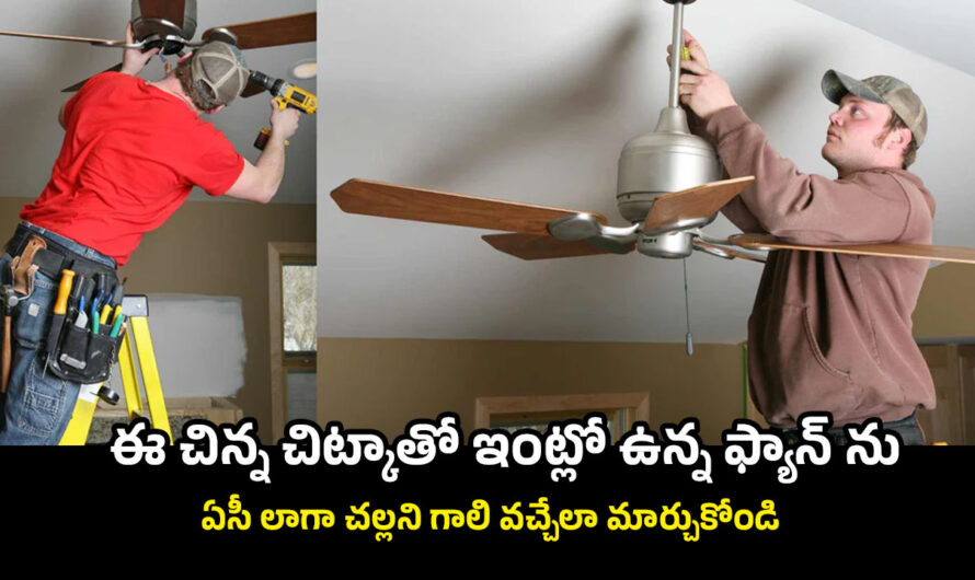 Ceiling Fan: ఈ చిన్న చిట్కాతో ఇంట్లో ఉన్న ఫ్యాన్ ను ఏసీ లాగా చల్లని గాలి వచ్చేలా మార్చుకోండి